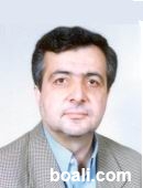 Rokn - Amir Reza - ( internet ).jpg